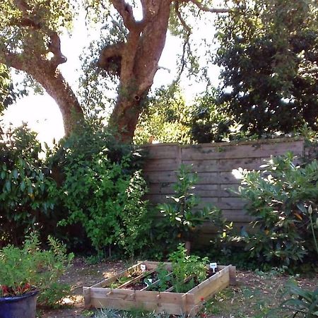 Chambre Privee A Tarnos Εξωτερικό φωτογραφία
